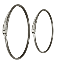 Drum Locking Ring