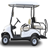 Electric Golf Buggies